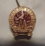 Odznak - Karlovy Vary, 600 let 