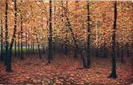 V. Jansa - Podzim v lese 