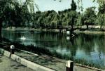 Kutno - park