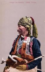 Bosna, bojovník