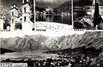 Kotor