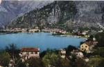 Kotor