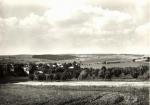 Služín 
