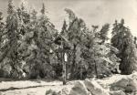 Krušné Hory - Klínovec, rozcestí