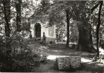 Bohdaneč - lesní pramen 