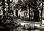 Bohdaneč - lesní pramen