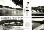 Pastviny - přehrada