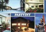 Pastviny