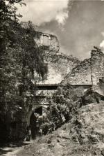 Hrad Točník