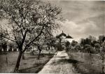 Chlumec nad Cidlinou - zámek