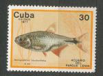 1977, Kuba Mi-**2207