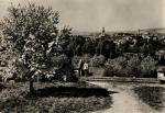 Hořice v Podkrkonoší