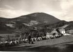 Horečky - zotavovna Gustav Kliment 