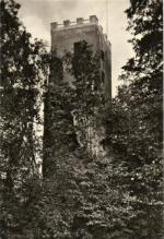 Zřícenina Rýzmberk