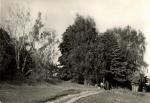 Chýnov - jeskyně 
