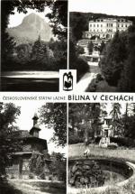 Bílina v Čechách