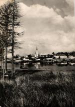 Frymburk