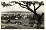Dobřany