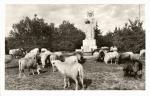 Socha Radegast 