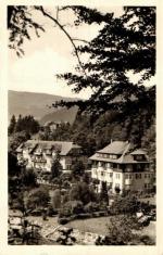 Špindlerův Mlýn - hotel Savoy - Westend