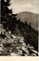 Krkonoše
