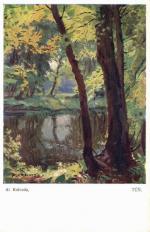 Alois Kalvoda - Tůň