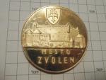 Plaketa mesto Zvolen, Cena mesta