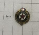 Odznak Partizan