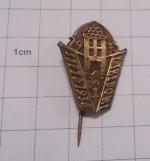 Odznak Třeboň 1938