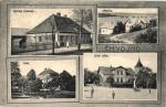 Chvojno