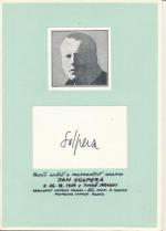 Jan Solpera grafik
