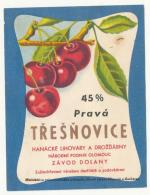 Třešňovice Dolany Olomouc