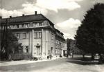 Sněžné