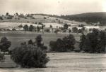 Křižánky
