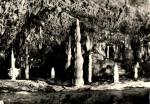 Sloupsko-sošůvské jeskyně