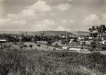 Polička