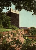 Chebský hrad