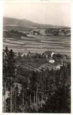 Týn nad Rovenskem