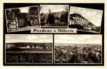 Milovice