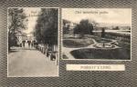 Lysice