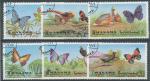 1972, Ajman - Manama Mi - 1226/31