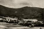 Hejnice