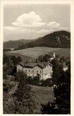Jetřichovice