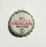 Vsetín Vsacan 11%