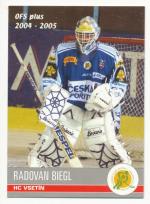 Radovan Biegl, OFS 04