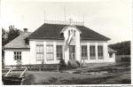 Zubří