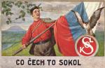 Co Čech to sokol