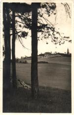 Vysoká