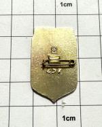 Odznak Ukrajina Záporoží