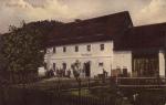 Ryjice